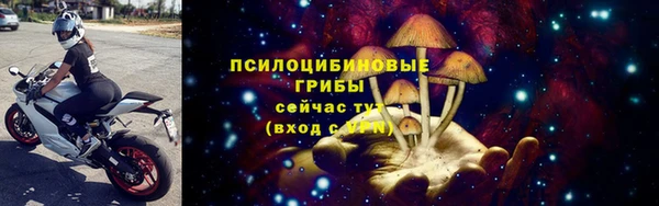 стаф Пересвет