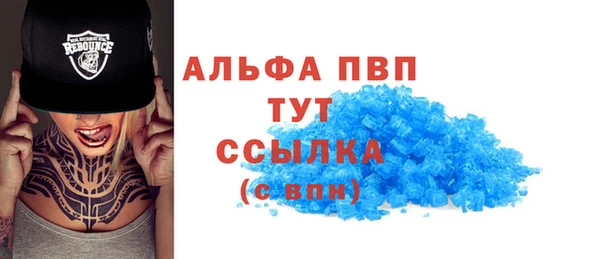 стаф Пересвет