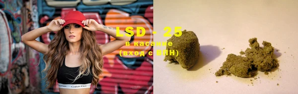 стаф Пересвет