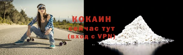 стаф Пересвет