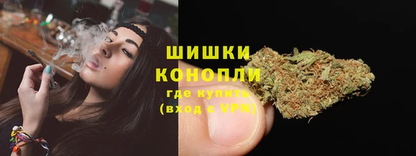 ECSTASY Пестово