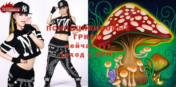 apvp Покачи