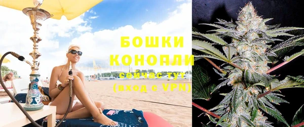 стаф Пересвет