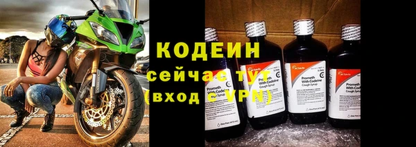 стаф Пересвет