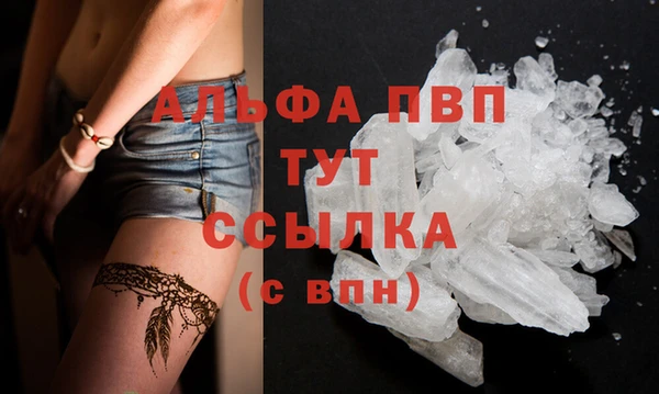 ECSTASY Пестово