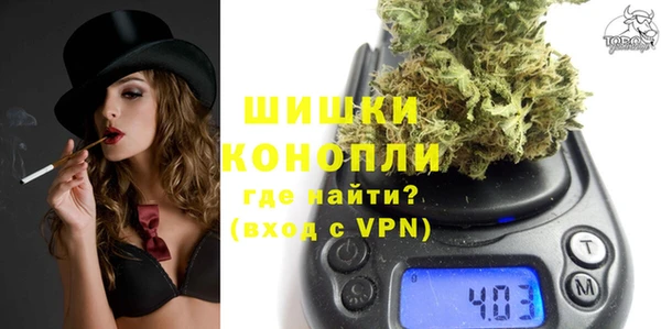 стаф Пересвет