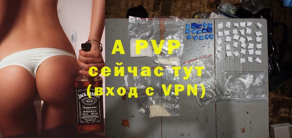 стаф Пересвет