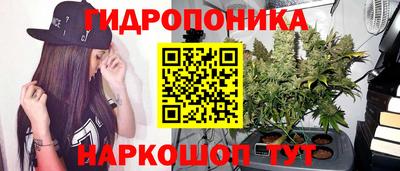 прущая мука Лесосибирск