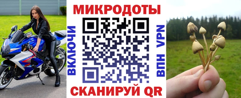 что такое   МЕГА ссылка  Галлюциногенные грибы ЛСД  Кулебаки 