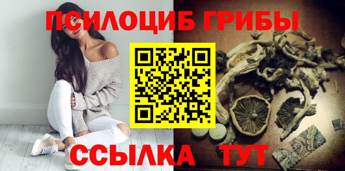 Кулебаки  Псилоцибиновые грибы GOLDEN TEACHER  Вход с VPN  Галлюциногенные грибы GOLDEN TEACHER 
